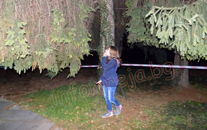 Малкият славей на Гоце Делчев Дани Георгиева запали светлините на коледната елха, стотици посрещнаха Дядо Коледа и Снежанка Малкият славей на Гоце Делчев Дани Георгиева запали светлините на коледната елха, стотици посрещнаха Дядо Коледа и Снежанка