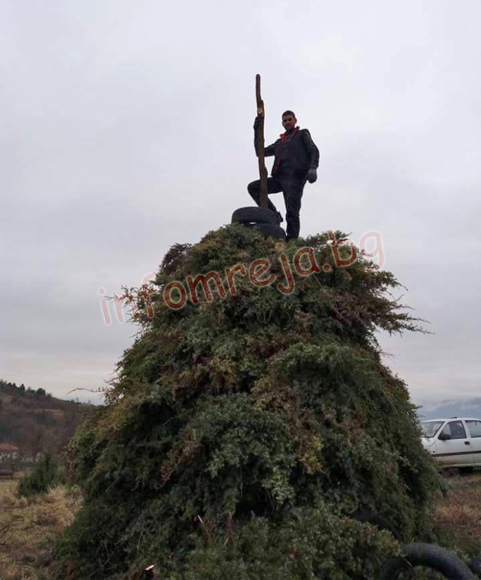 Само за няколко часа бойна група от Балдево набра хвойни, нареди голямата сирница и поби на върха й националния трибагреник Само за няколко часа бойна група от Балдево набра хвойни, нареди голямата сирница и поби на върха й националния трибагреник