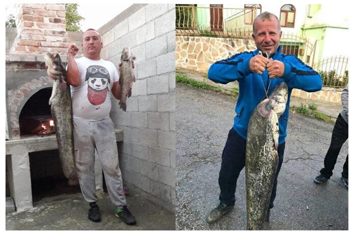 13-килограмов сом се закачи на куката на Радослав Хаджиев от Годешево дни преди да отлети на гурбет в Англия