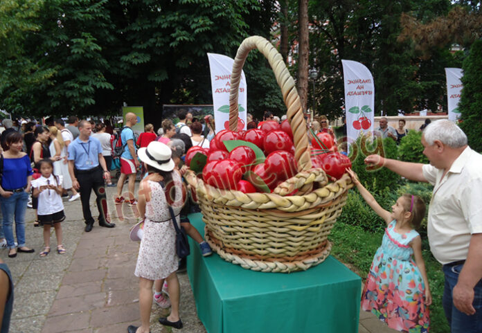 Кюстендилският площад се превърна в разкошна овощна градина (СНИМКИ)