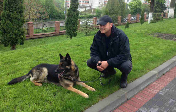 Овчарката Рови и нейният водач от Митнически пункт - Гюешево взеха първа награда на международно състезание