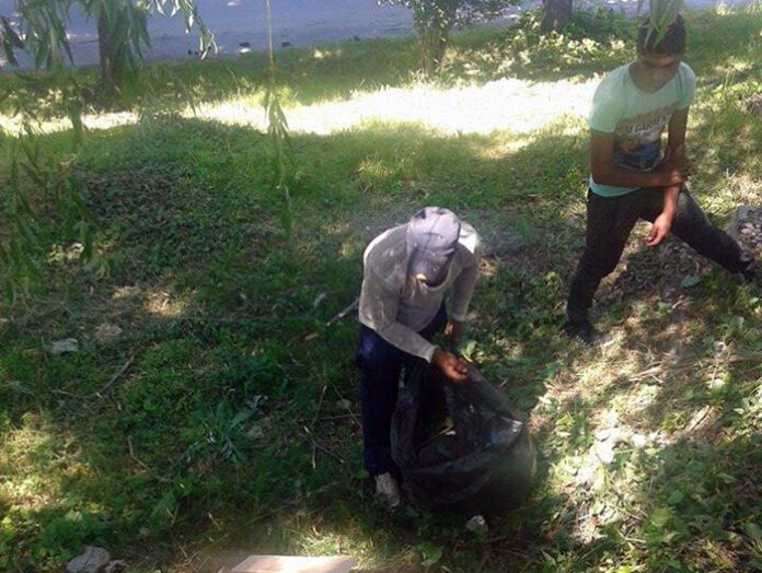 Два акта за бране на липа за ден в Дупница