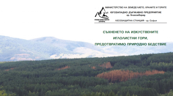 ЮЗДП издаде брошура за съхненето на иглолистните гори