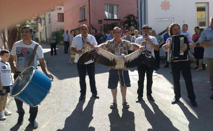 РИОСВ-Смолян иззе щъркела, станал сватбар по неволя, Дечо Кацаров: Намерих птицата, заплетена в жици, грижих се за нея