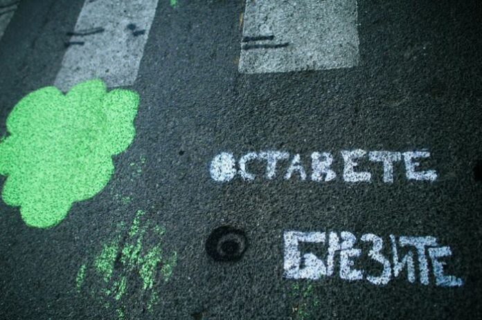Превърнаха пешеходна пътека в брезова гора
