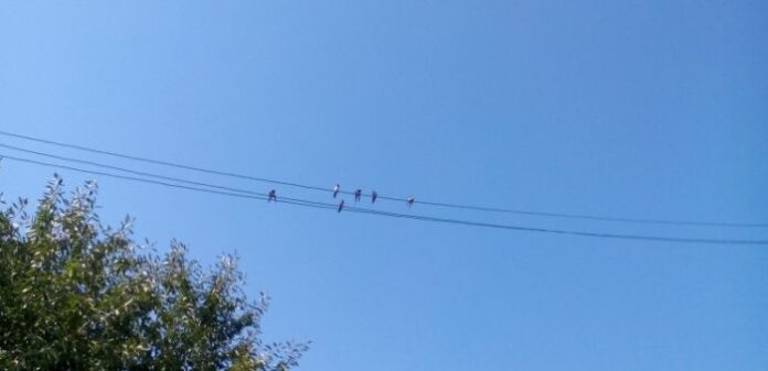 В готовност за отлитане