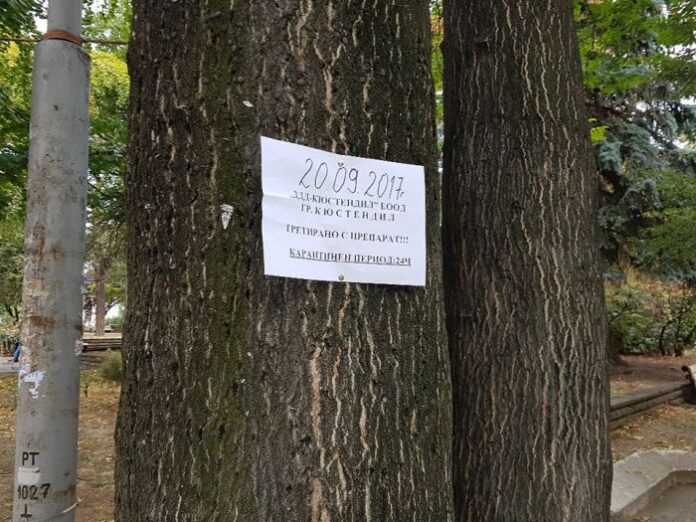 Третират зелените площи в центъра на Кюстендил