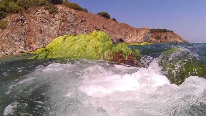 Отбелязваме Международния ден на Черно море