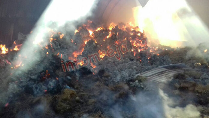 Горят над 10 000 бали в хале в Тополница