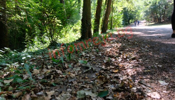 Връчени бяха сертификатите на 4 нови биосферни резервата на ЮНЕСКО