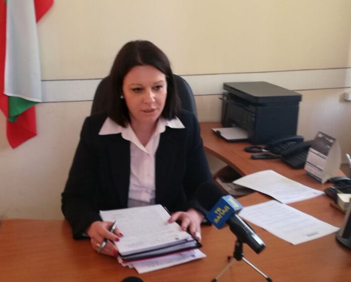 Община Кюстендил с мерки за ускореното усвояване на повредената от корояди дървесина
