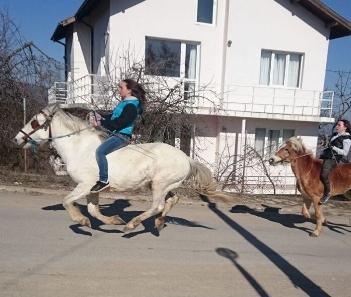 23 участници са заявили желание да се включат в конните надбягвания за Тодоровден в Богослов