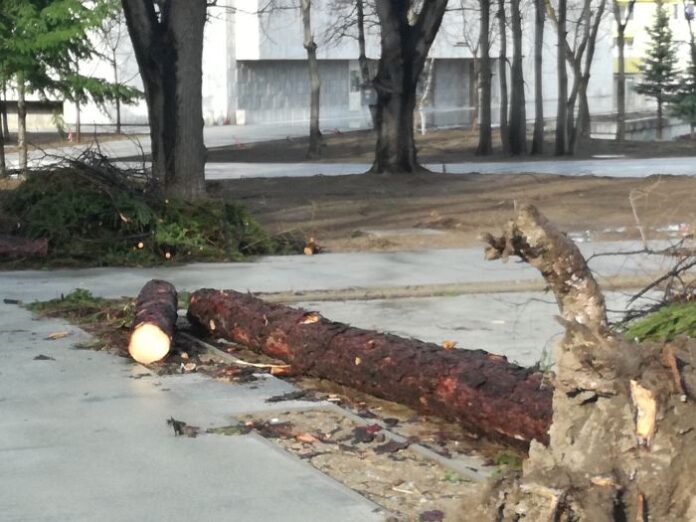 Обстановката след бурния вятър в събота и валежите днес в община Кюстендил е спокойна и под контрол