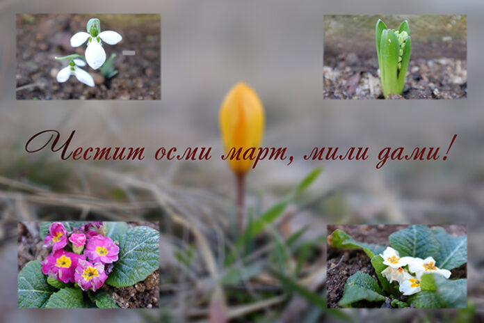 Честит 8. март!