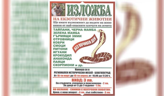 Крокодил, анаконда и други екзотични животни на изложба в Благоевград