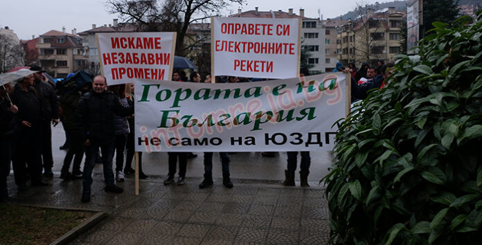 След протеста: Спират електронните търгове за продажба на дървесина