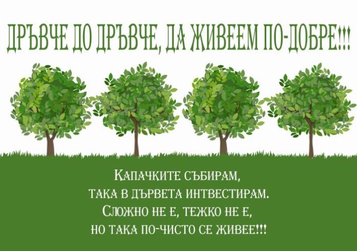 Пролетният сняг отлага кампанията "Дръвче до дръвче, да живеем по-добре!" в Кюстендил