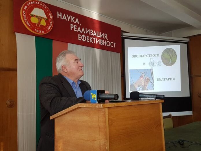 Увеличават се площите със засадени сортове слива в Кюстендилско