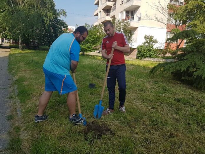 Поредна доброволческа инициатива по засаждане на дръвчета в Кюстендил