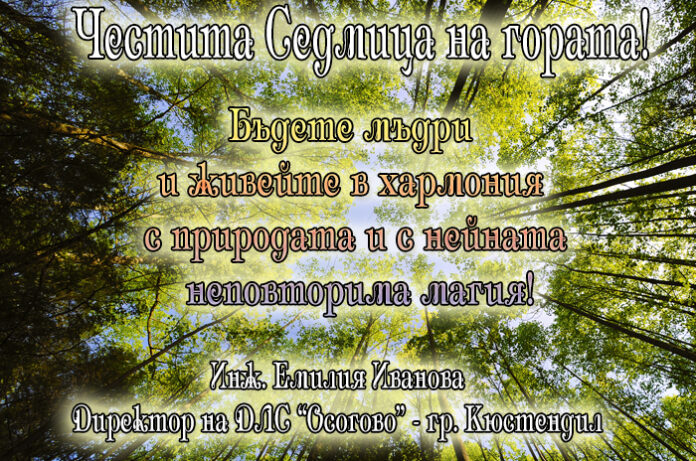 Директорът на ДЛС "Осогово" - Кюстендил, инж. Емилия Иванова: Честита Седмица на гората!