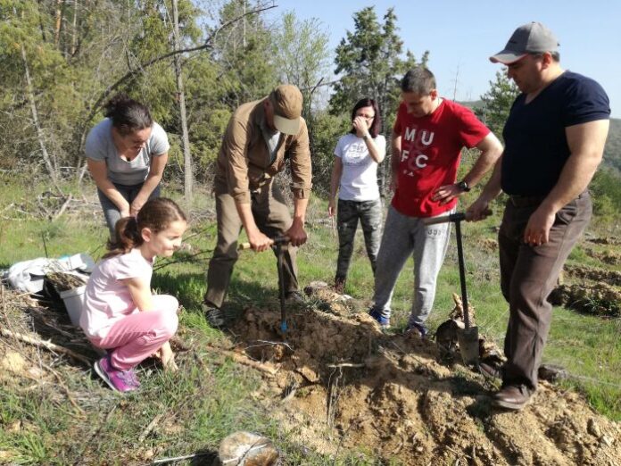 Прокурори от цялата страна залесяваха на терен над село Драговищица