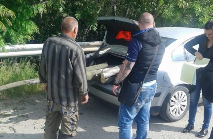 Спипаха дупничанин по време на нерегламентирано рязане на дърва