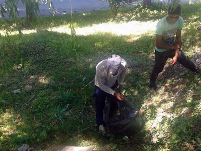 Кметът на Община Дупница инж. Методи Чимев забрани брането на липов цвят