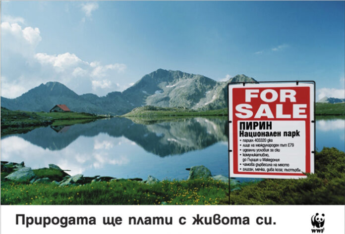 Природозащитници: Държавата е твърдо решила да сече и застроява Национален парк Пирин