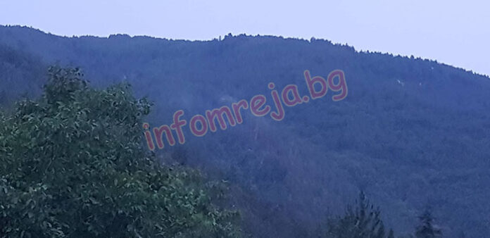 Паднало дърво върху далекопровод е причина за пожара в Кресненско, гасенето продължава!