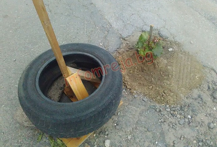 Благоевградчанин засади лозичка в неасфалтирана дупка, "намигва" на общината