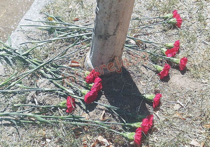 Цветя в памет на Сергей Андреев застлаха булеварда в Благоевград