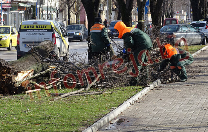 Николов: 450 сигнала са подадени на 112 заради вятъра и пожари