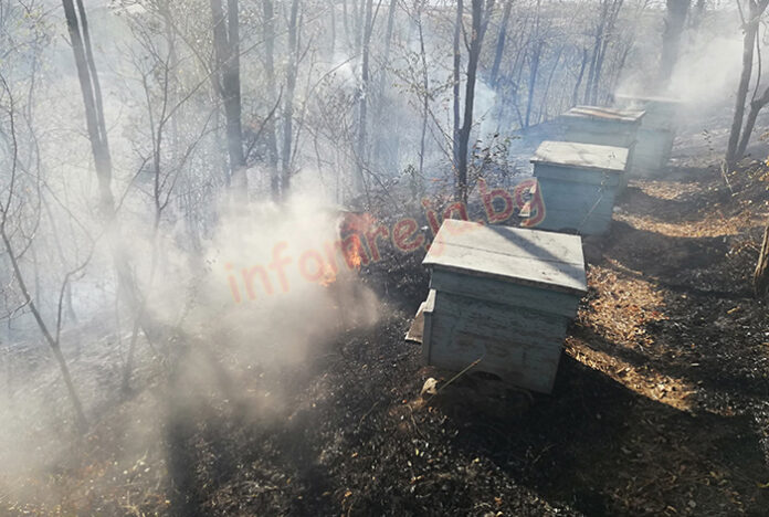 Барака и пчелни кошери изгоряха в Джигурово, късо съединение подпали кола в Петрич