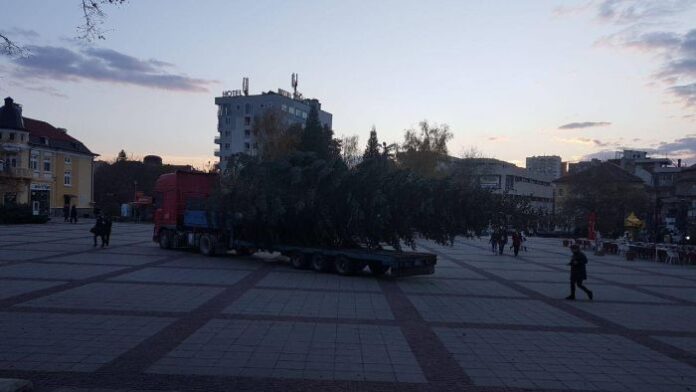 19-метрова елха грейва в центъра на Дупница