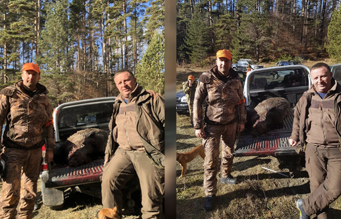 200-килограмово прасе падна под обстрела на кмета Ревански и Веселин Камбуров