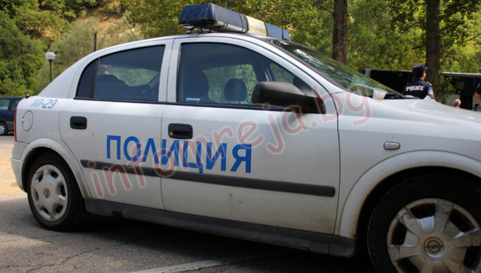Отрязаха 550 овошки от нива в Петрич