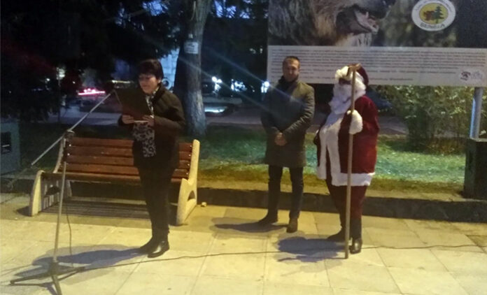 Грейна коледната елха в Белица