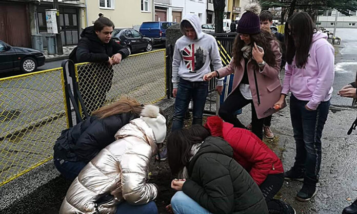 Ученици от гимназията в Разлог засадиха минзухари в знак на толерантност