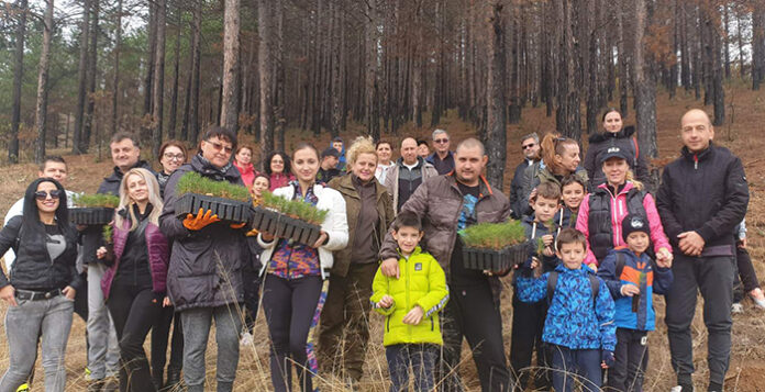 Бизнесът помага за възстановяването на увредени гори в ЮЗДП
