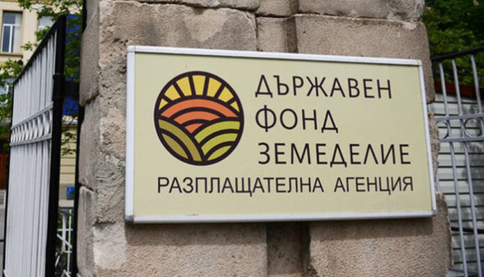 Санират сградите на кметствата в Добринище и Места