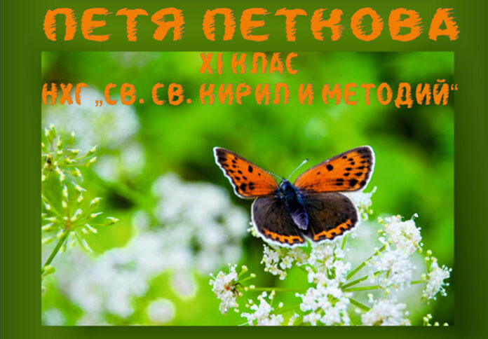 Ученичка от НХГ "Св. св. Кирил и Методий" открива първата си самостоятелна изложба