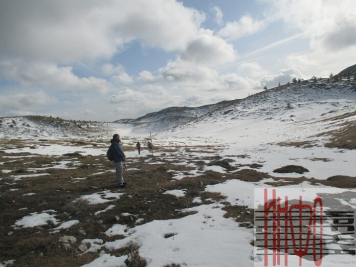 Поле в сърцето на планината