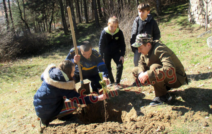 Парк „Панорама“ в Гоце Делчев се обогати с 30 дръвчета благодарение на ПГ по МСС и Трето ОУ