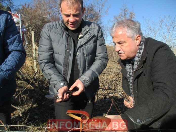 Село Делчево – за пореден път център на виното и плодородието (СНИМКИ)