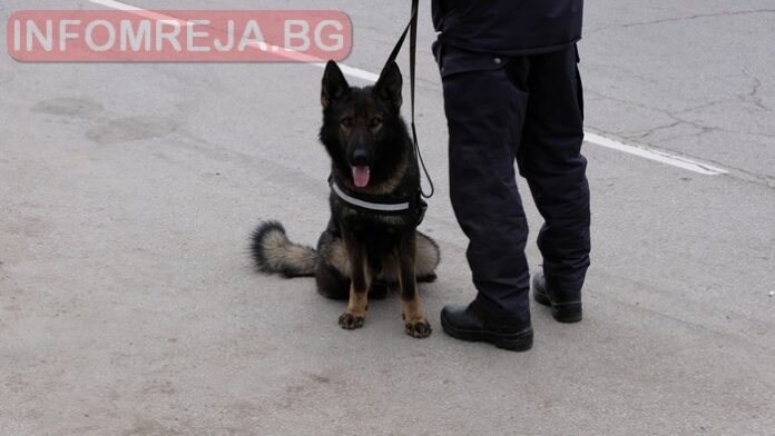 С 23-ма задържани завърши акцията в Благоевград