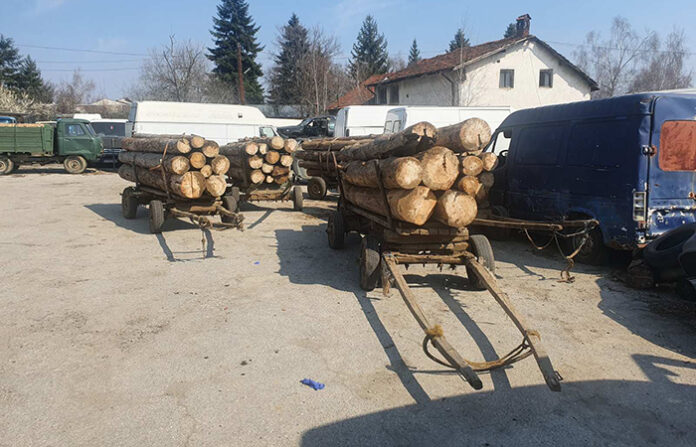 5 каруци и 7.50 кубически метра дървесина са задържани от служителите на „ДГС Самоков”