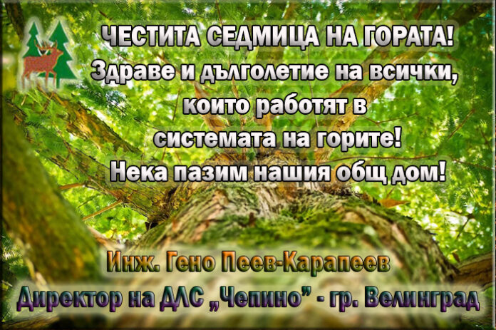 Директорът на ДЛС "Чепино", Гено Пеев-Карапеев: Честита Седмица на гората!