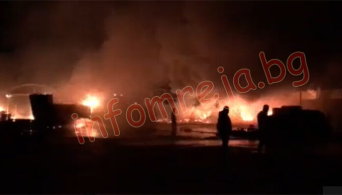Зеленчуковата борса в село Кърналово гори