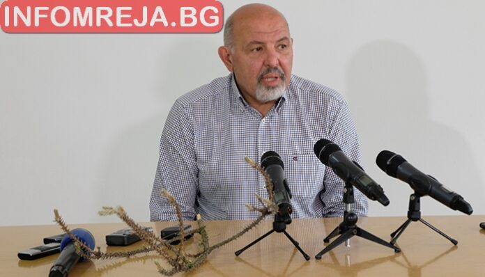 До 2-3 месеца изсъхналите борове в Благоевградско ще се възстановят