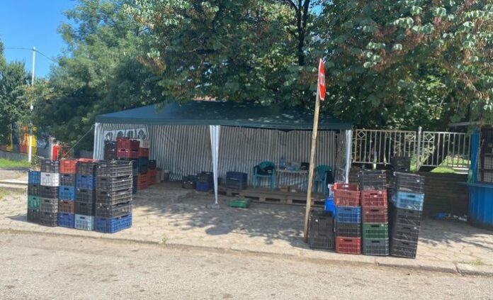 Една фирма изкупува черешите в Кюстендил